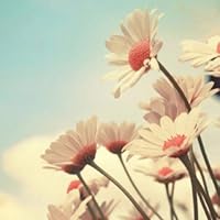 Profile Image for Amany Mohammed.