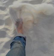 Profile Image for Dakota.