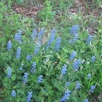 Profile Image for Robyn.