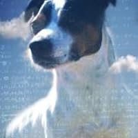 Profile Image for Jen.