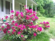 Profile Image for Gayle.