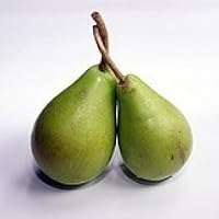 Profile Image for Erin.