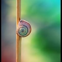 Profile Image for Nadia Alblooshi.