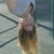 Profile Image for Merissa Jensen.