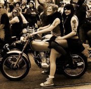 Profile Image for Misty.