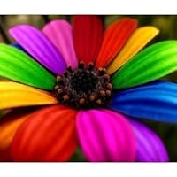 Profile Image for Maggie.