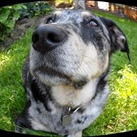 Profile Image for Jacquelyn.