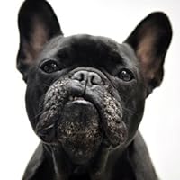 Profile Image for Erin.