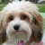 Judy Regnery