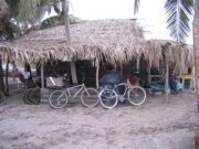 Profile Image for Bruce.