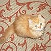 Mignon De Klerk