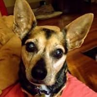 Profile Image for Xena.
