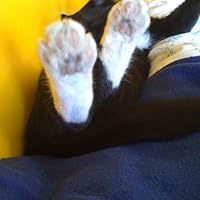 Profile Image for Jessica.