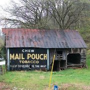 Profile Image for David.