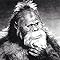 Daintysasquatch Sterling