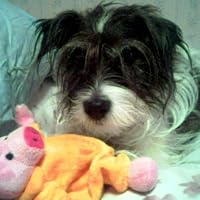 Profile Image for Susan.