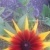 Profile Image for Kristen Schopen-gaskin.
