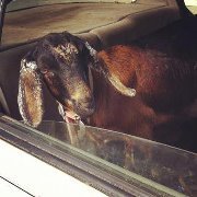 Profile Image for Jim.