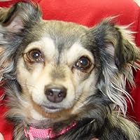 Profile Image for Bitsy.