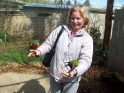 Profile Image for Sandra Irwin.