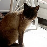 Profile Image for Esther.