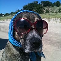 Profile Image for Sasha Pravdic.