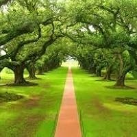 Profile Image for 704 Maya.