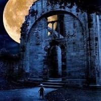 Profile Image for Ameera Hegazy.