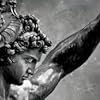 David