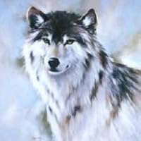 Profile Image for Jae.
