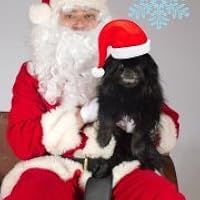 Profile Image for Alexa.