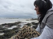 Profile Image for Zeba G.