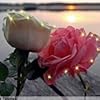 Lesly Flowers