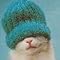 Cat Fu (carocat)