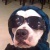 Profile Image for Mary Jo.