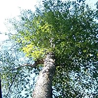 Six Brave Explorers: A Pop-Up Book by Kees Moerbeek | Goodreads