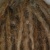 Profile Image for Bonnie Kaerie.