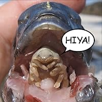 Profile Image for Rich.