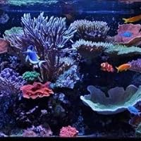 Profile Image for Carmen.