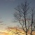 Profile Image for Rhonda Lawson-ward.