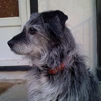 Profile Image for Missy Sullivan.