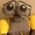 Stephen