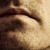 Stephen