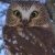 Profile Image for Deanna Jackson.