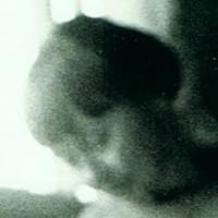 Profile Image for Linden.