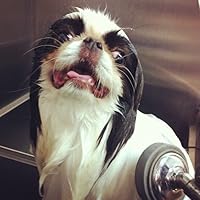 John McAfee's Last Stand by Joshua Davis Goodreads