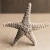 Profile Image for Eve Koenig.
