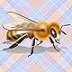 Honeybee