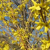 Profile Image for Christine.