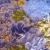 Sandi Stover